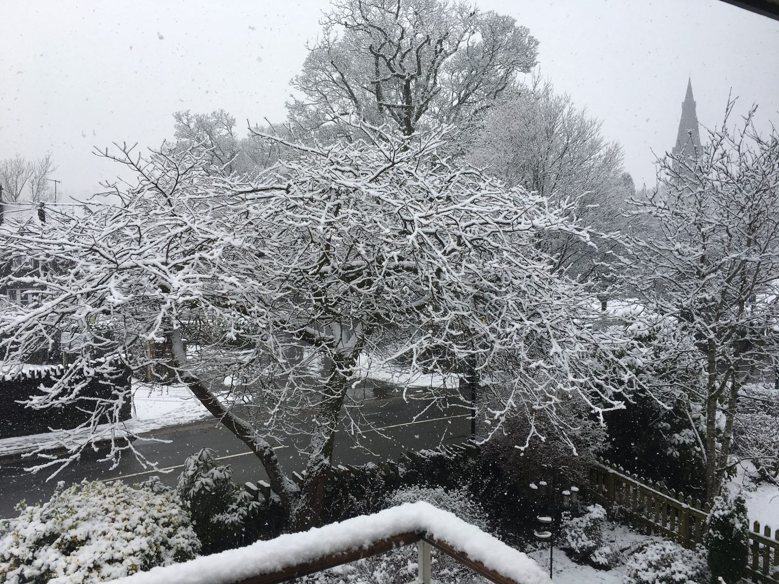 Winter from the house